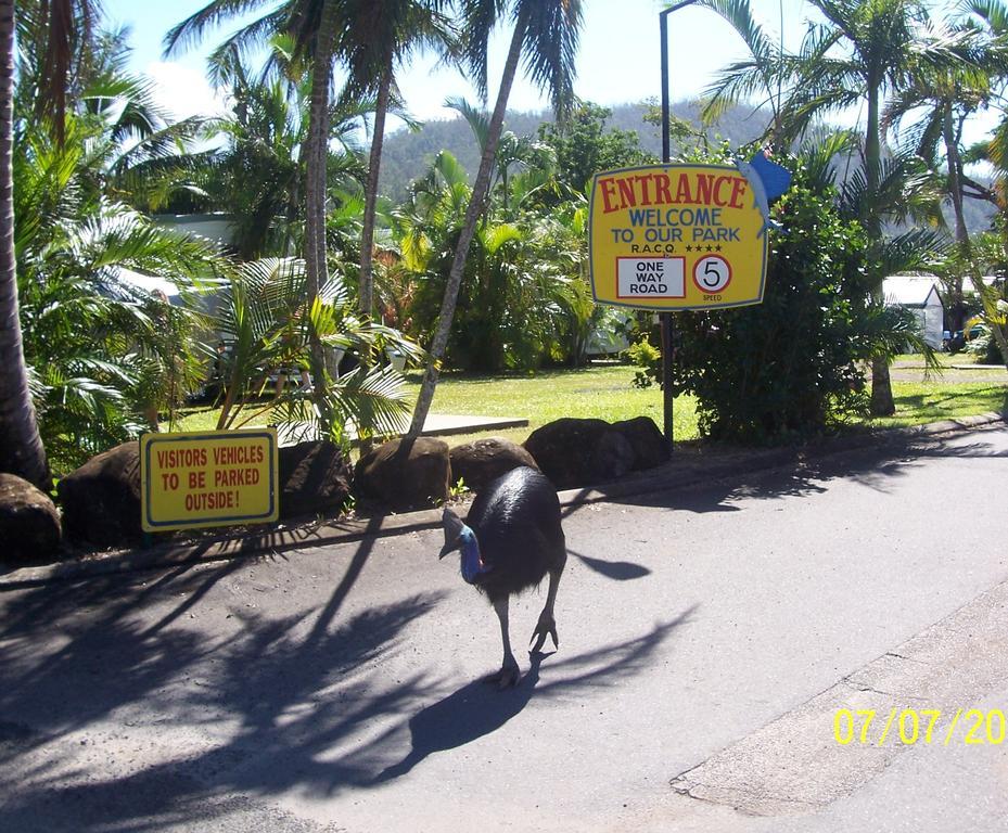 Hotel Flying Fish Point Tourist Park Innisfail Esterno foto