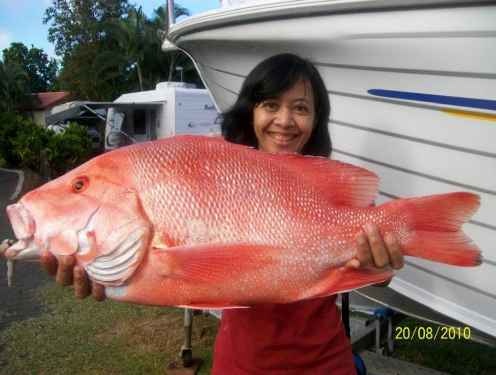 Hotel Flying Fish Point Tourist Park Innisfail Esterno foto