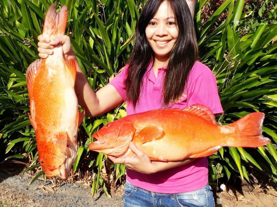 Hotel Flying Fish Point Tourist Park Innisfail Esterno foto