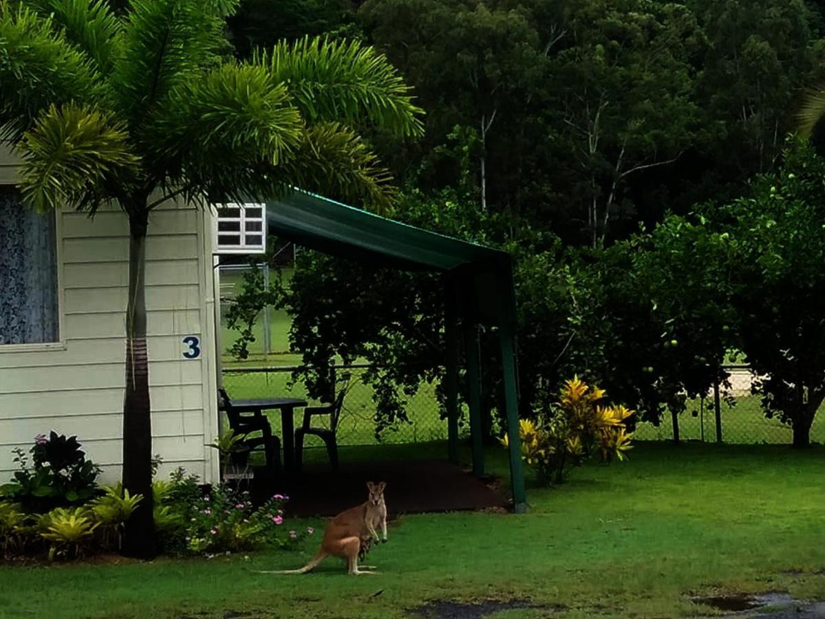 Hotel Flying Fish Point Tourist Park Innisfail Esterno foto